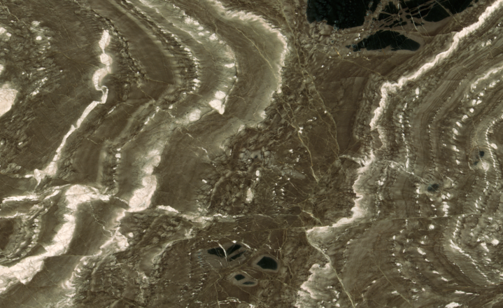 Green Army Claro poli